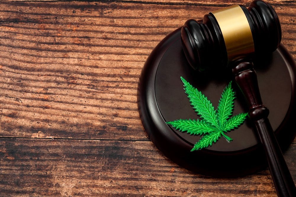 stock photo of a judge gravel court hammer and a marijuana leave