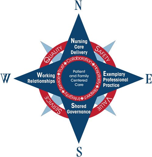 Nursing Compass Professional Practice Model