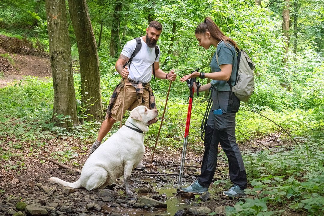 photo of a couple walking in the wood with their dog